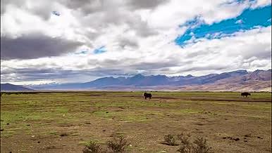 8K延时中国青藏高原自然风光视频的预览图